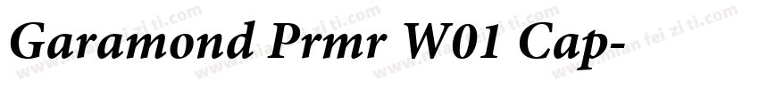 Garamond Prmr W01 Cap字体转换